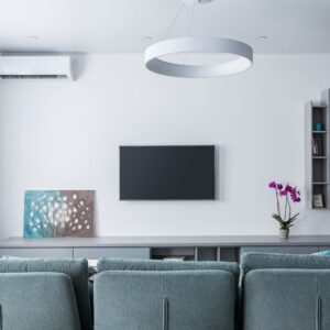 Contemporary living room with soft gray sofa and shelves decorating wall in daytime
